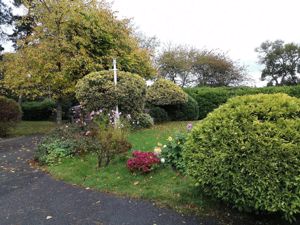 Photo 38- click for photo gallery